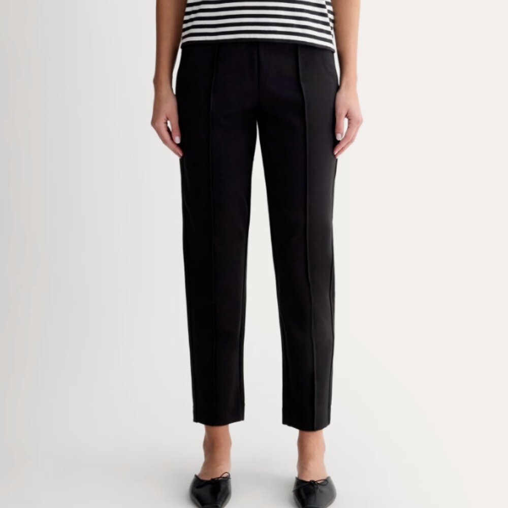 NWOT Everlane The Dream Pant